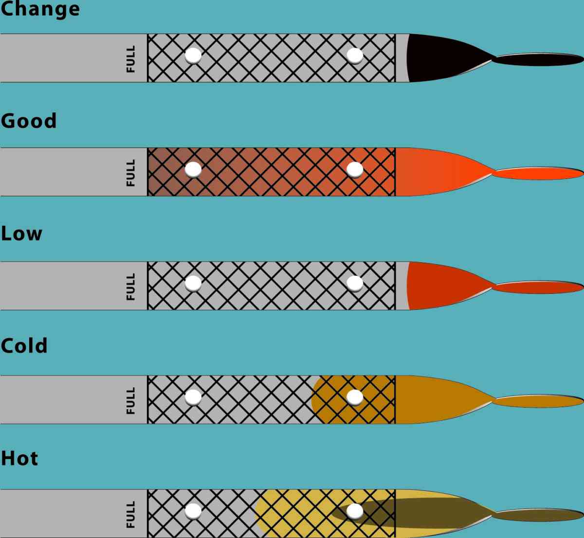 How to read motor oil