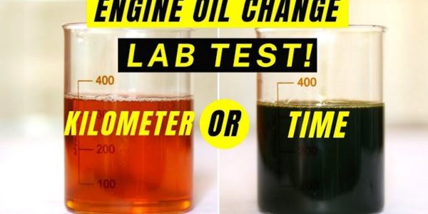 when to check motor oil